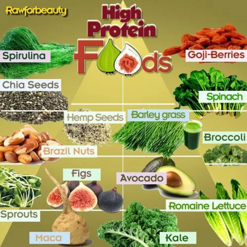 Fontes de proteína vegetal