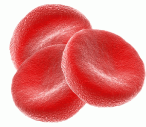 Anemia: Tratamento & Receitas