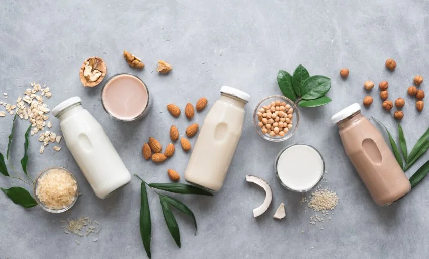 Alternativas vegetais como leite de aveia, amêndoa, soja e coco, com seus ingredientes crus e preparadas em frascos