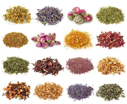 Diferentes ervas e flores secas usadas em infusões e chás, como camomila, lavanda e hibisco, dispostas em fileiras